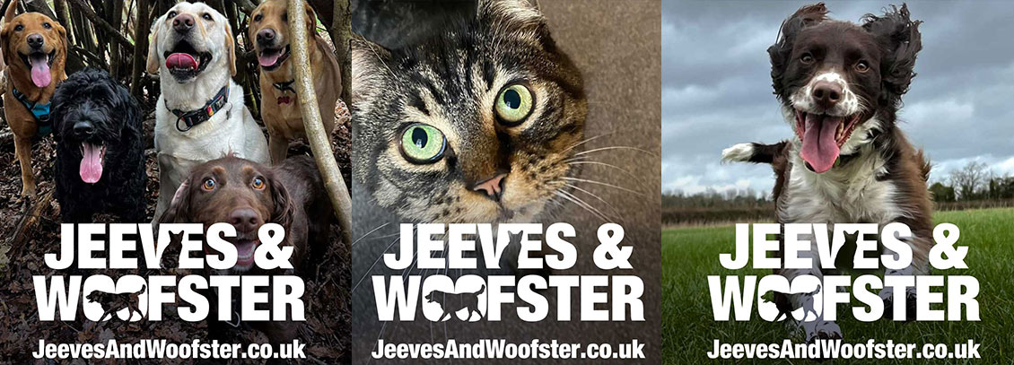 Jeeves and Woofster Pet Care Dog Walking