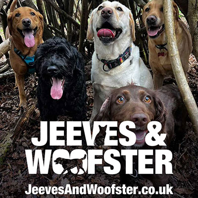 Jeeves and Woofster Logo design