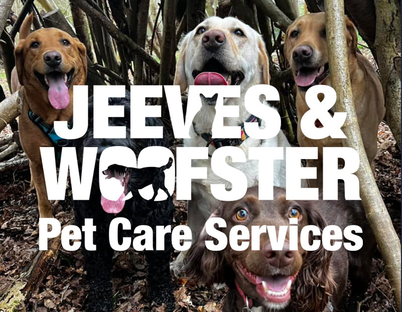 Jeeves and Woofster logo